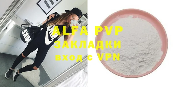 spice Новодвинск