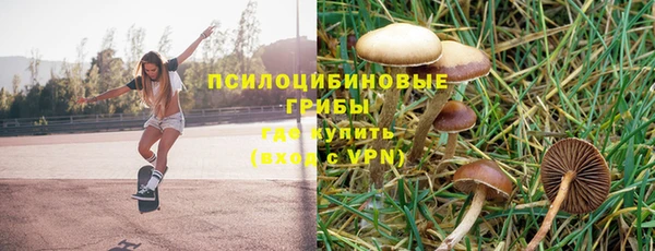 бутират Новозыбков