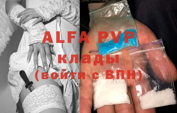 гашик Новокубанск