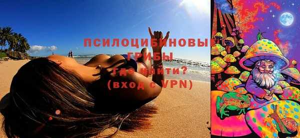 spice Новодвинск