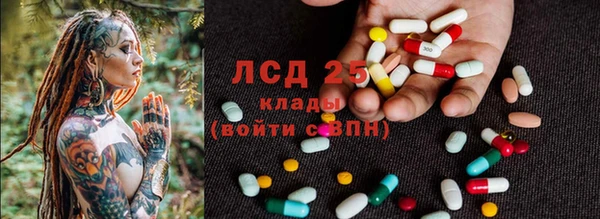 spice Новодвинск