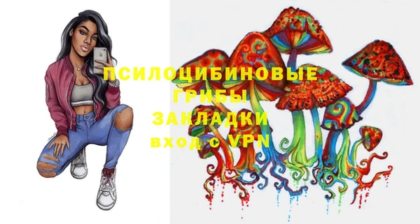 гашик Новокубанск