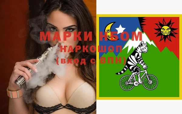 гашик Новокубанск